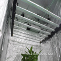 LED más vendido 600W 8Bar Grow Light